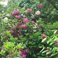 Insel Mainau &ndash; &copy; Kerstin Hugel (Eberhardt TRAVEL)