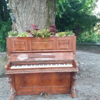 Insel Mainau &ndash; &copy; Kerstin Hugel (Eberhardt TRAVEL)