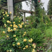 Insel Mainau &ndash; &copy; Kerstin Hugel (Eberhardt TRAVEL)