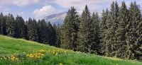 Höhenweg Söllereck &ndash; &copy; Kerstin Hugel (Eberhardt TRAVEL)