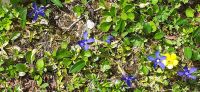 Ursprung Alm &ndash; &copy; Kerstin Hugel (Eberhardt TRAVEL)
