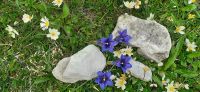 Ursprung Alm &ndash; &copy; Kerstin Hugel (Eberhardt TRAVEL)