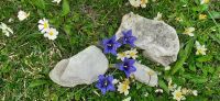 Ursprung Alm &ndash; &copy; Kerstin Hugel (Eberhardt TRAVEL)