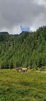 Ursprung Alm &ndash; &copy; Kerstin Hugel (Eberhardt TRAVEL)
