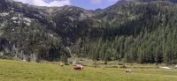 Ursprung Alm &ndash; &copy; Kerstin Hugel (Eberhardt TRAVEL)