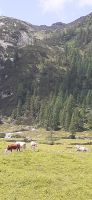 Ursprung Alm