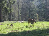 &copy; Kerstin Hugel (Eberhardt TRAVEL)