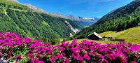 Blick nach Obergurgl