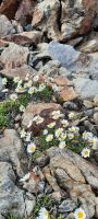 Impressionen