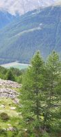 Vernagt Stausee &ndash; &copy; Betina Marinow (Eberhardt TRAVEL)