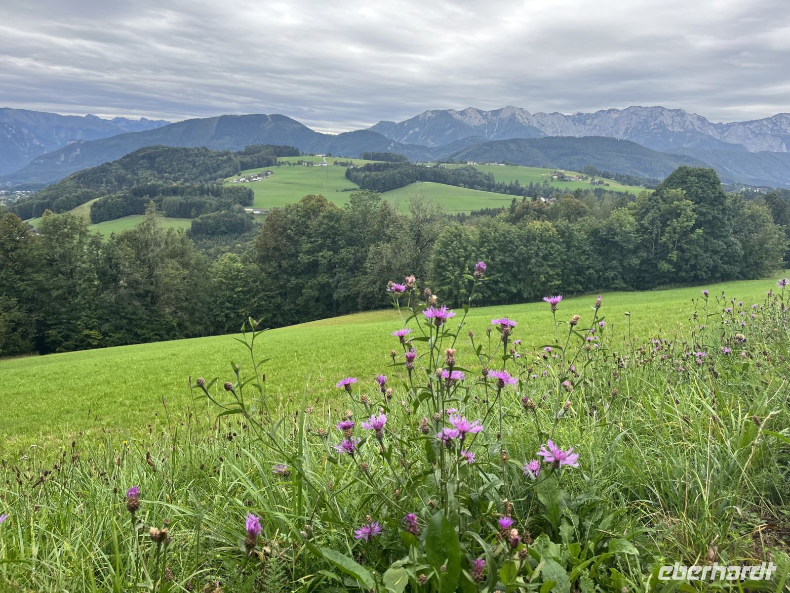 Wanderung zum Gmundnerberg &ndash; &copy; Vicky Kern (Eberhardt TRAVEL)