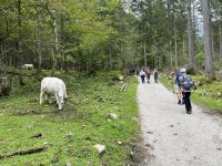 Wanderung zum Hinteren Gosausee &ndash; &copy; Vicky Kern (Eberhardt TRAVEL)