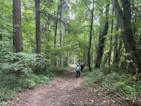Wanderung zum Gmunderberg &ndash; &copy; Vicky Kern (Eberhardt TRAVEL)