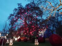 Wiener Christkindlmarkt  &ndash; &copy; Martina Pötschke (Eberhardt TRAVEL)