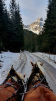 Schlittenfahrt &ndash; &copy; Kristina Hesse (Eberhardt TRAVEL)