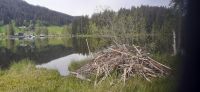 Schwarzsee &ndash; &copy; Kerstin Hugel (Eberhardt TRAVEL)