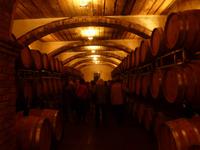 Weingut Auer
