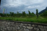 Die Weinberge vom Fürsten &ndash; &copy; Andreas Kunzmann (Eberhardt TRAVEL)