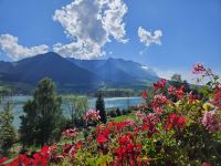 Ausblick vom Hotel auf den Walchsee.jpg &ndash; &copy; Sophia Bär (Eberhardt TRAVEL)