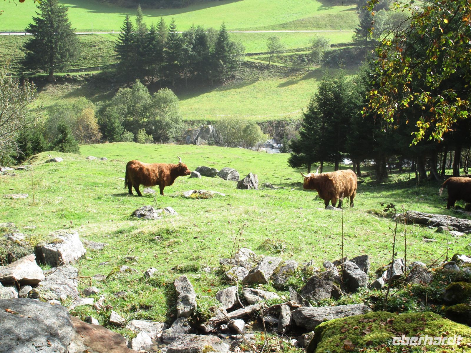 im Pitztal &ndash; &copy; Barbara Mihut (Eberhardt TRAVEL)