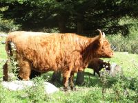 im Pitztal &ndash; &copy; Barbara Mihut (Eberhardt TRAVEL)
