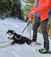 unschlagbares Duo &ndash; &copy; Ria Heilmann (Eberhardt TRAVEL)