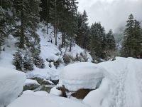 Langenbachtal &ndash; &copy; Ria Heilmann (Eberhardt TRAVEL)