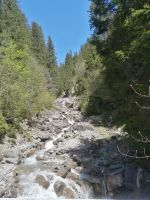 Bärguntbach &ndash; &copy; Alicia Eckert (Eberhardt TRAVEL)