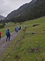 Die Kuh vorne und wir alle hinterher! &ndash; &copy; Alicia Eckert (Eberhardt TRAVEL)