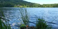 Tag 2 Uferrundweg am Laudachsee &ndash; &copy; Robert Kramer (Eberhardt TRAVEL)