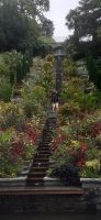 Insel Mainau &ndash; &copy; Kerstin Hugel (Eberhardt TRAVEL)