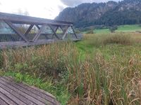 2024-09_Kaiserwinkel-Rad: Hochmoor Schwemm &ndash; &copy; Dieter Braune (Eberhardt TRAVEL)