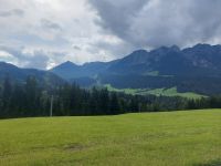 2024-09_Kaiserwinkel-Rad: Am Wegesrand &ndash; &copy; Dieter Braune (Eberhardt TRAVEL)