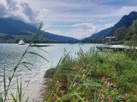 2024-09_Kaiserwinkel-Rad: Freibad Walchsee &ndash; &copy; Dieter Braune (Eberhardt TRAVEL)