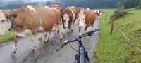 Gegenverkehr ! &ndash; &copy; Georg Berger (Eberhardt TRAVEL)