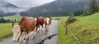 ..... &ndash; &copy; Georg Berger (Eberhardt TRAVEL)