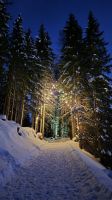 Unterhofalm &ndash; &copy; Sinah Witzig (Eberhardt TRAVEL)