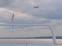 Schifffahrt Neusiedler See &ndash; &copy; Gisela Hohlfeld (Eberhardt TRAVEL)