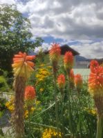 Blumenfreuden &ndash; &copy; Bernd Lahmann (Eberhardt TRAVEL)