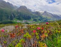 Blick auf Obergrugl &ndash; &copy; Betina Marinov (Eberhardt TRAVEL)