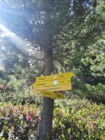 Weg nach Hochgurgl &ndash; &copy; Betina Marinov (Eberhardt TRAVEL)