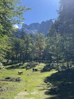 Unsere Wegbegleiter &ndash; &copy; Vicky Kern (Eberhardt TRAVEL)