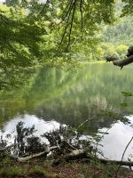 Laudach-Moor &ndash; &copy; Vicky Kern (Eberhardt TRAVEL)