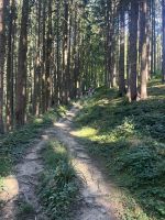 Wanderung auf den Gmundnerberg &ndash; &copy; Vicky Kern (Eberhardt TRAVEL)