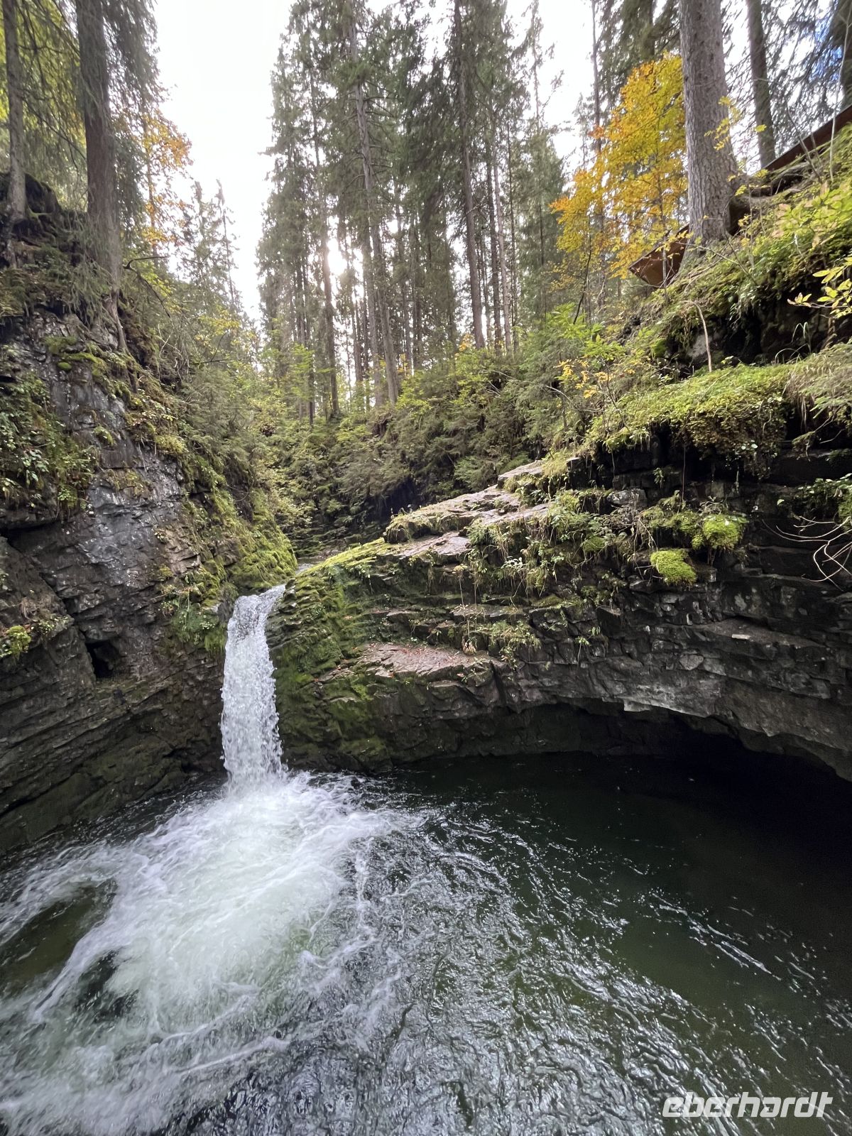 am Auerbach entlang... &ndash; &copy; Renate Grafe (Eberhardt TRAVEL)
