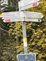 entlang am Schwarzwasserbach &ndash; &copy; Renate Grafe (Eberhardt TRAVEL)