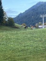 unser Abreisetag &ndash; &copy; Renate Grafe (Eberhardt TRAVEL)