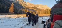 Weihn_Salzbg.: Filzmoos - Kutschfahrt mit Gegenverkehr &ndash; &copy; Dieter Braune (Eberhardt TRAVEL)