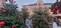 Weihn_Salzbg.: Schloß Hellbrunn - Gruß vom RL &ndash; &copy; Dieter Braune (Eberhardt TRAVEL)