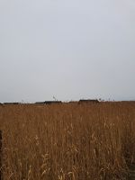 Neusiedler See